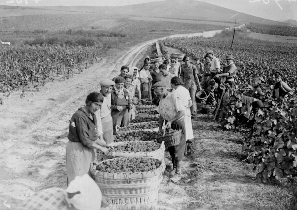 How wine and champagne helped to defeat the Nazis How wine and champagne helped to defeat the Nazis