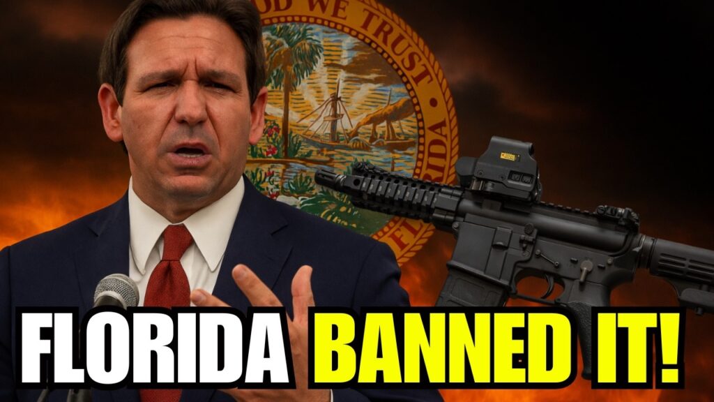 Florida Just Told Gun Owners: We’re Ending This