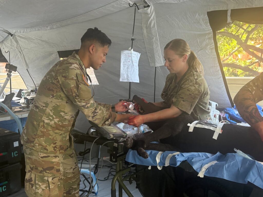 US Army integrates veterinarians into human combat care US Army integrates veterinarians into human combat care