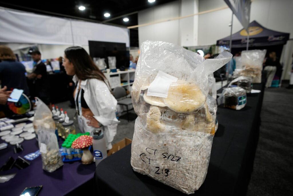 Nearly 5 million veterans have used magic mushrooms, LSD or MDMA, study finds Nearly 5 million veterans have used magic mushrooms, LSD or MDMA, study finds