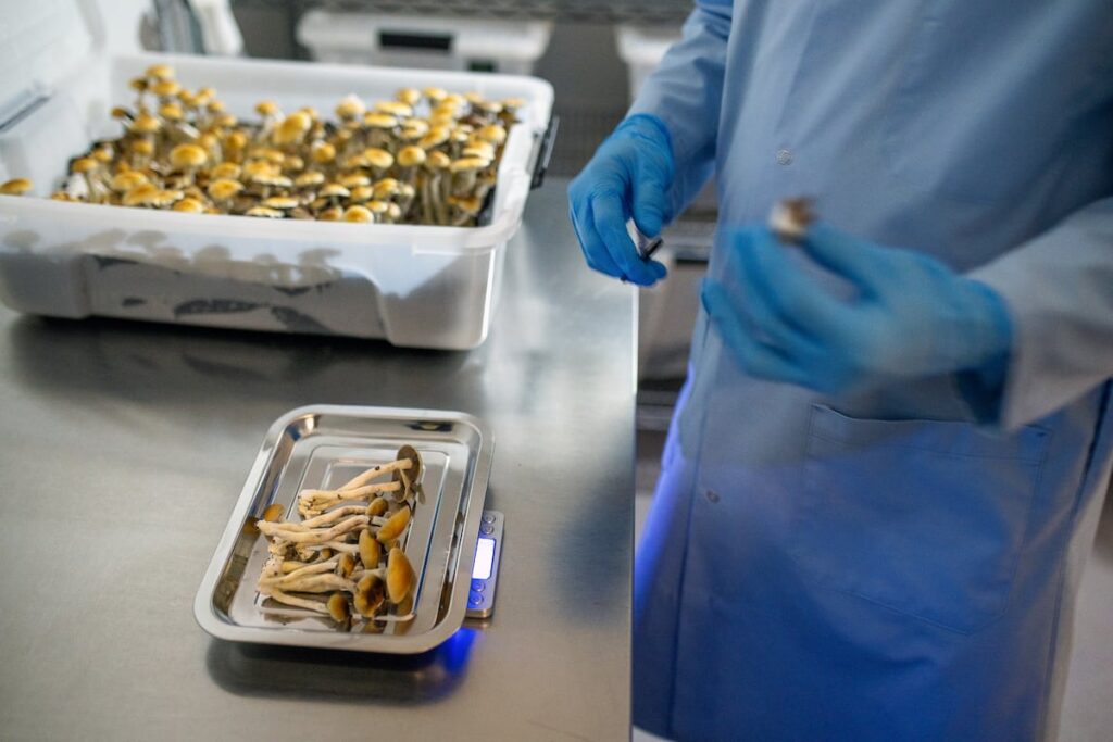 Major VA study to examine effectiveness of psilocybin on depression, PTSD Major VA study to examine effectiveness of psilocybin on depression, PTSD